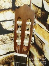 Paco Castillo パコ・カスティージョ 201 1/2 杉・サペリ 540mm ショートスケール【日本総本店2F 在庫品】_3