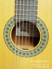 Paco Castillo パコ・カスティージョ 201 1/2 杉・サペリ 540mm ショートスケール【日本総本店2F 在庫品】_4