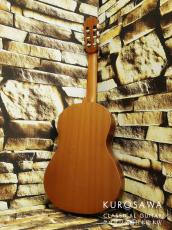 Paco Castillo パコ・カスティージョ 201 1/2 杉・サペリ 540mm ショートスケール【日本総本店2F 在庫品】_5