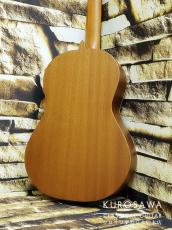 Paco Castillo パコ・カスティージョ 201 1/2 杉・サペリ 540mm ショートスケール【日本総本店2F 在庫品】_6