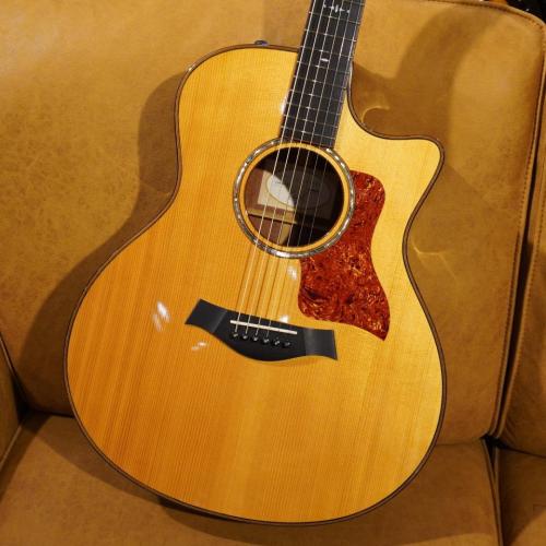 Taylor Custom GSce-M/ADS MFJ14