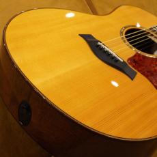 Taylor Custom GSce-M/ADS MFJ14_2