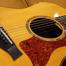 Taylor Custom GSce-M/ADS MFJ14_3