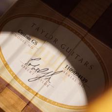 Taylor Custom GSce-M/ADS MFJ14_4