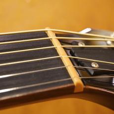 Taylor Custom GSce-M/ADS MFJ14_6