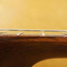 Taylor Custom GSce-M/ADS MFJ14_8