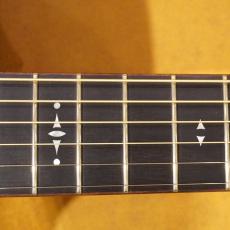 Taylor Custom GSce-M/ADS MFJ14_9