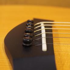Taylor Custom GSce-M/ADS MFJ14_10