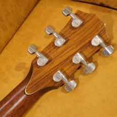 Taylor Custom GSce-M/ADS MFJ14_13