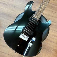 YAMAHA RGXA2_2