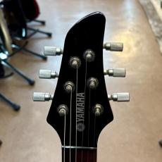 YAMAHA RGXA2_5