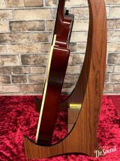 Godin ゴダン Multiac Nylon String Natural HG_5