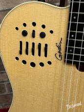 Godin ゴダン Multiac Nylon String Natural HG_8