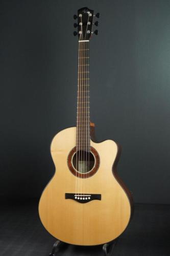 Peggy White PREMIER Cutaway