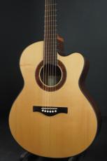 Peggy White PREMIER Cutaway_2