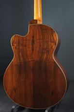 Peggy White PREMIER Cutaway_5