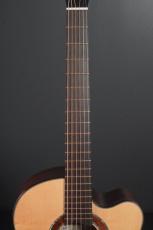 Peggy White PREMIER Cutaway_7