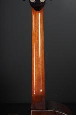Peggy White PREMIER Cutaway_9