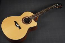 Peggy White PREMIER Cutaway_10