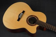 Peggy White PREMIER Cutaway_11