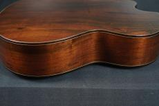 Peggy White PREMIER Cutaway_15