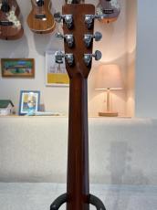 Martin 【価格変更】D-28 1979 VeryGood Condition!_8