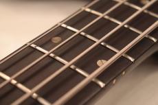 Gibson 1965 Thunderbird Ⅱ "Revers Body with Single Pickup"_4