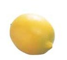 PLAYWOOD Music Shaker "Fruits" FS-LMN レモン【オンラインストア限定】