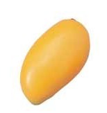 PLAYWOOD Music Shaker "Fruits" FS-MNG マンゴ【オンラインストア限定】
