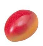 PLAYWOOD Music Shaker "Fruits" FS-MNG-M メキシコマンゴ【オンラインストア限定】