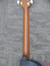 Ovation CP257 Super Shallow Bowl_8