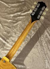KING SNAKE 【NEW】Two Bone T Amber Natural TBT-034 [2.76kg]【G-CLUB TOKYO】_8