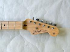 DEREK CUSTOM GUITAR Custom-ST DGBM_2