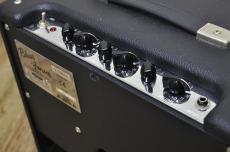Fender Blues Junior PR295_4