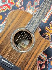 Taylor 【タリアカポプレゼント・1本限定モデル】Custom GA #13027 cocobolo&Shinker【最大48回分割無金利】_3