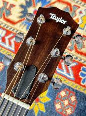 Taylor 【ちょい傷品大特価!!】 14ce #2208285400【送料当社負担・最大48回分割無金利】_5