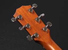 Taylor 214ce-Koa ~Natural~_8
