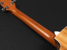 Taylor 214ce-Koa ~Natural~_9
