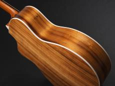 Taylor 214ce-Koa ~Natural~_11