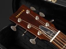 YAMAHA FG180-50TH ~Natural~_3