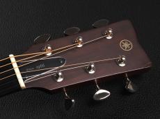 YAMAHA FGX5 ~Natural~_3