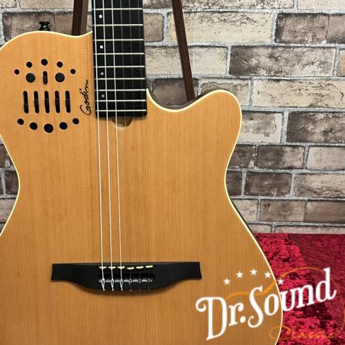 Godin ゴダン ACS SLIM Nylon Natural SG 