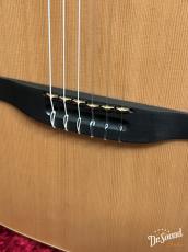 Godin ゴダン ACS SLIM Nylon Natural SG _9