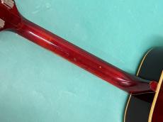 Gibson HUMMINGBIRD CS_8
