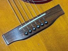 Gibson HUMMINGBIRD CS_10