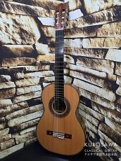 Paulino Bernabe パウリーノ・ベルナベ TORRES トーレス 2017年製 645mm 【日本総本店2F 在庫品】_2