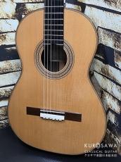 Luigi Locatto ルイジ・ロカット 2015年製 エンリケ・ガルシアモデル Enrique Garcia Model 松・ハカランダ 【日本総本店2F 在庫品】