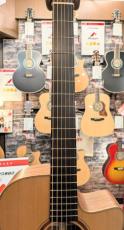 Morris S-92 III 【モリダイラ楽器 特選モデル】_6