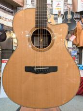 Morris SE-102 【モリダイラ楽器 特選モデル】