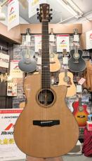Morris SE-102 【モリダイラ楽器 特選モデル】_2
